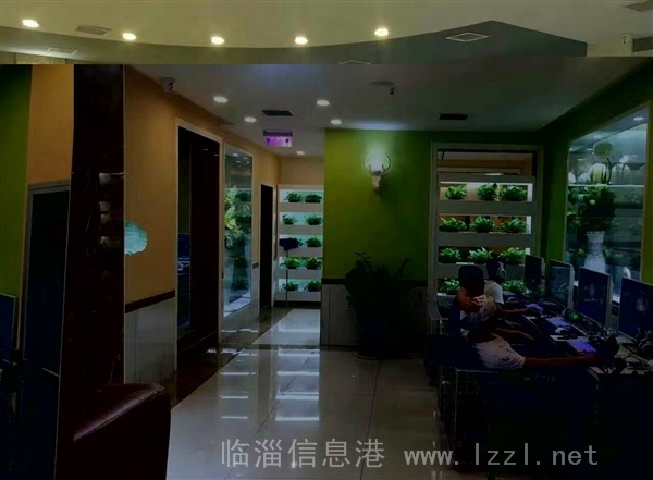 辛店网吧招聘前台收银员