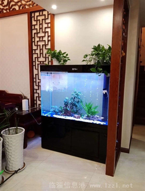 定制出售精美鱼缸