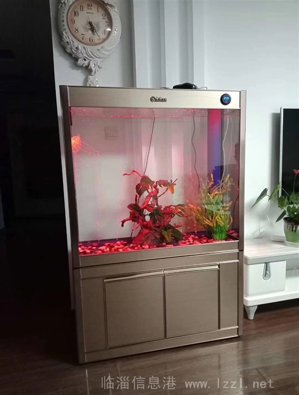 定制出售精美鱼缸