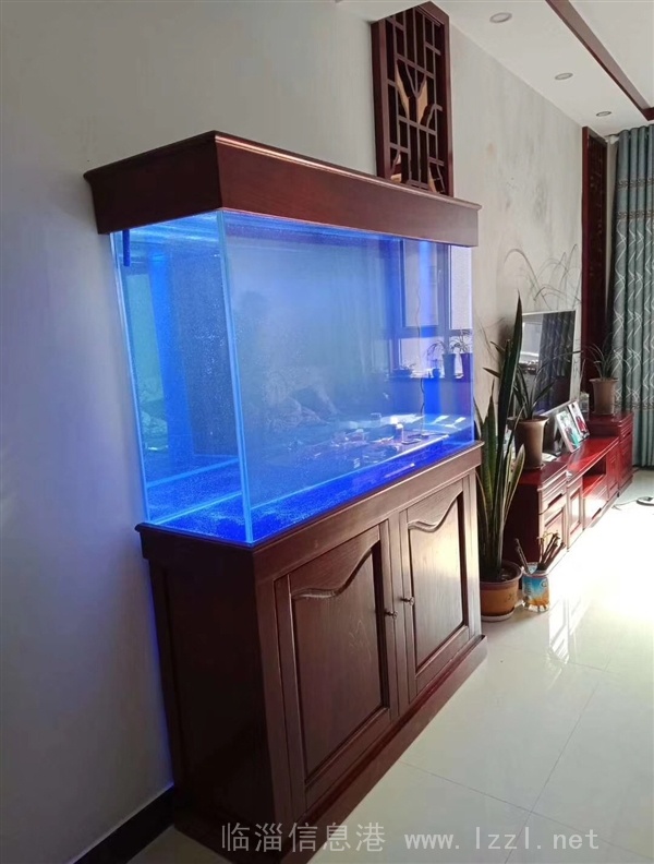 定制出售精美鱼缸