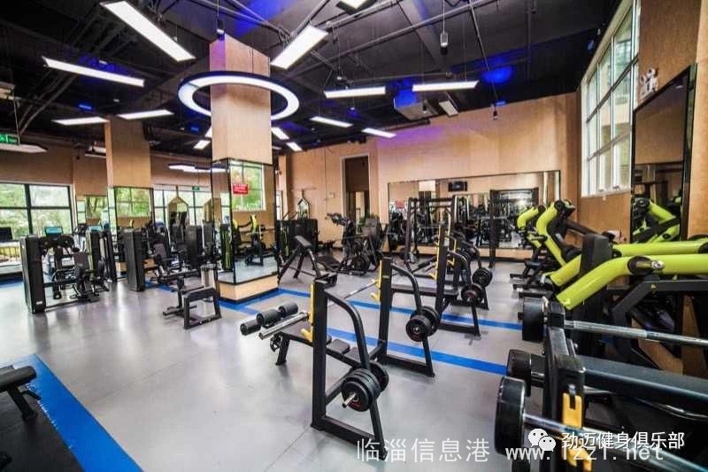 招聘会籍顾问