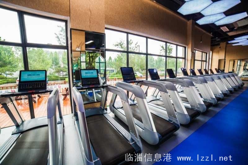 招聘会籍顾问