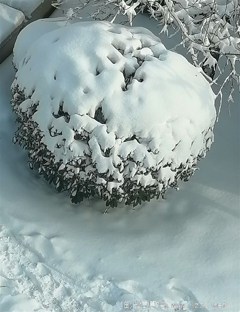 宝通新房出租