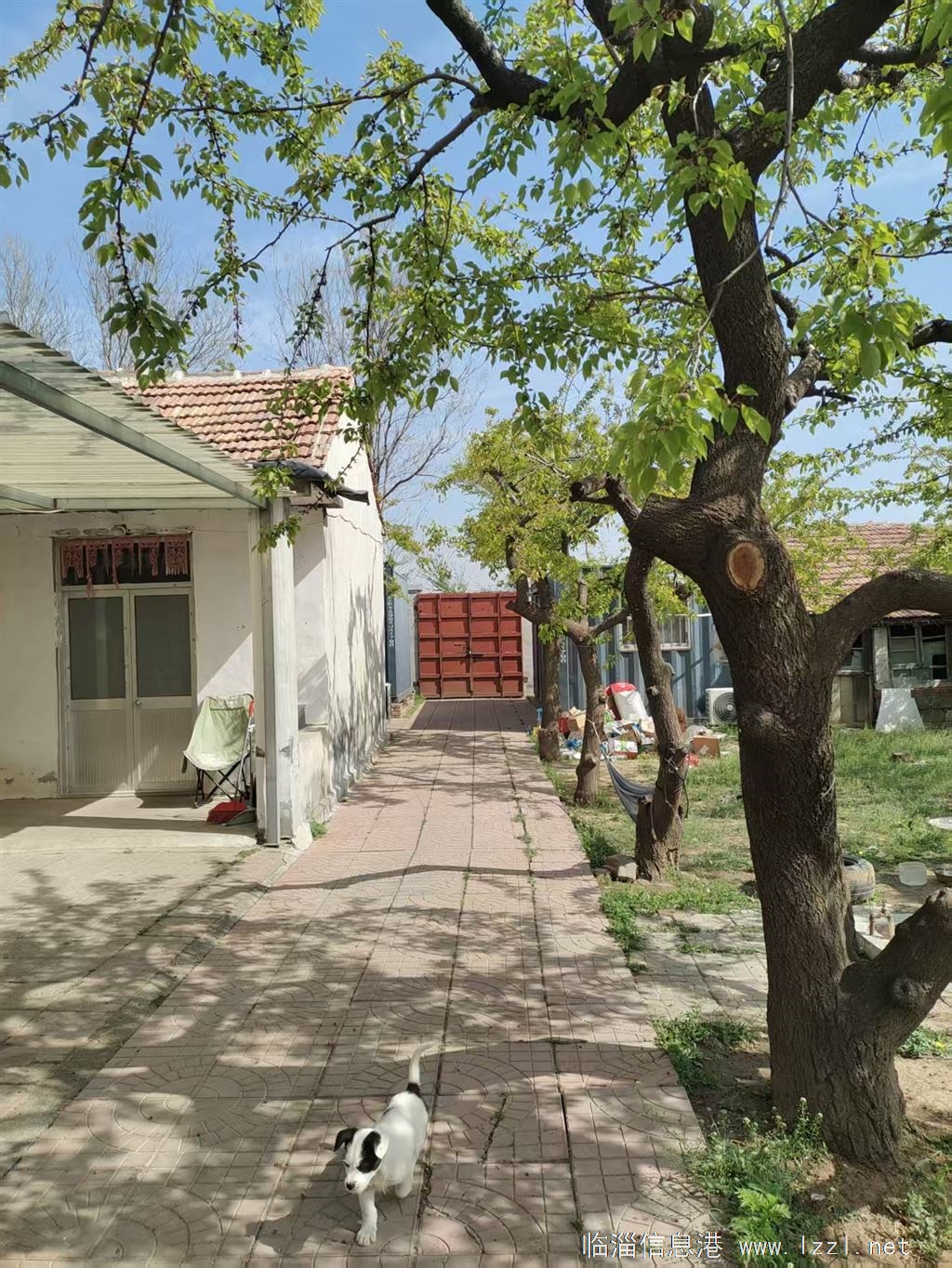 临淄齐陵郑家沟小院出租