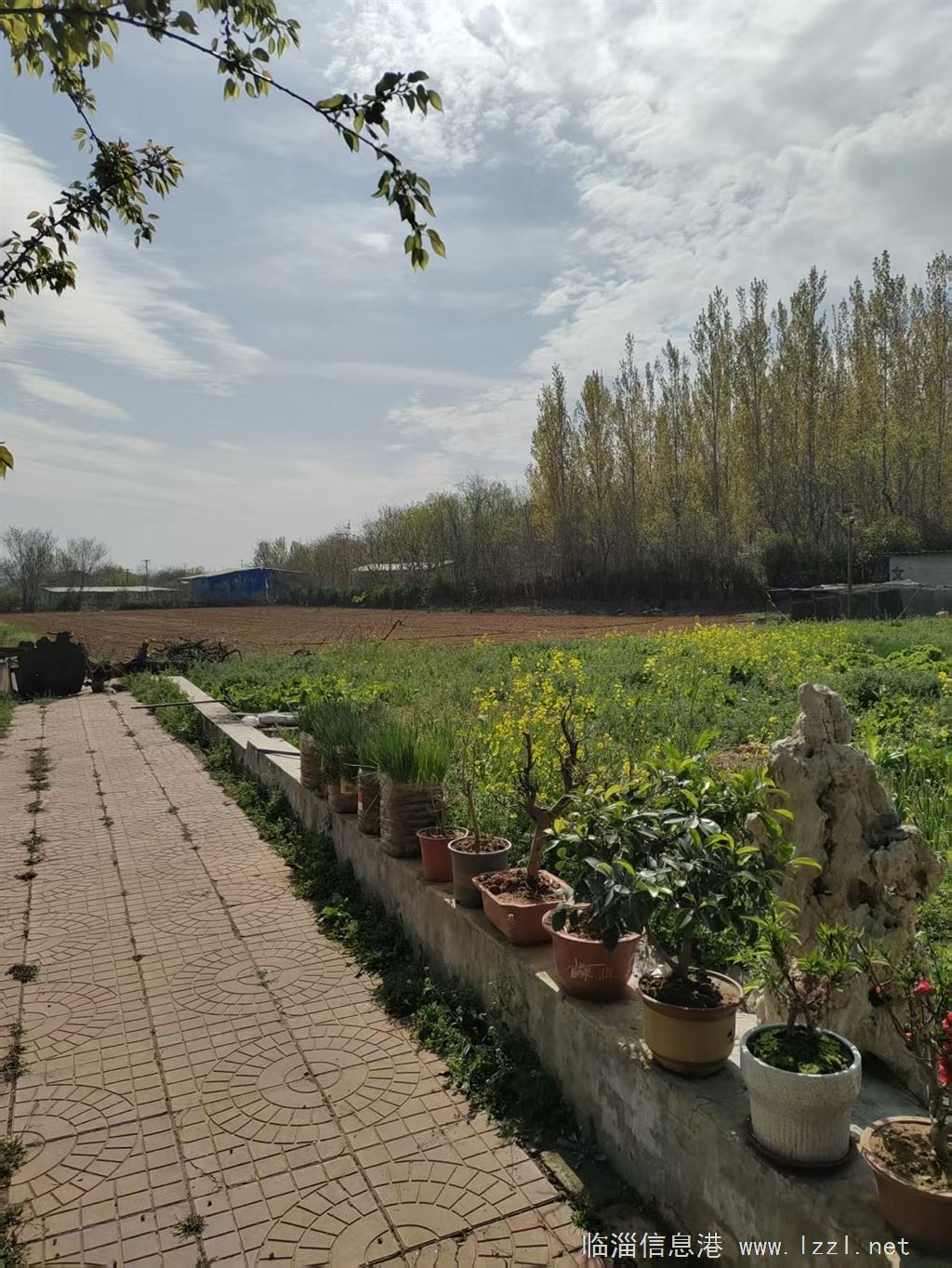 临淄齐陵郑家沟小院出租