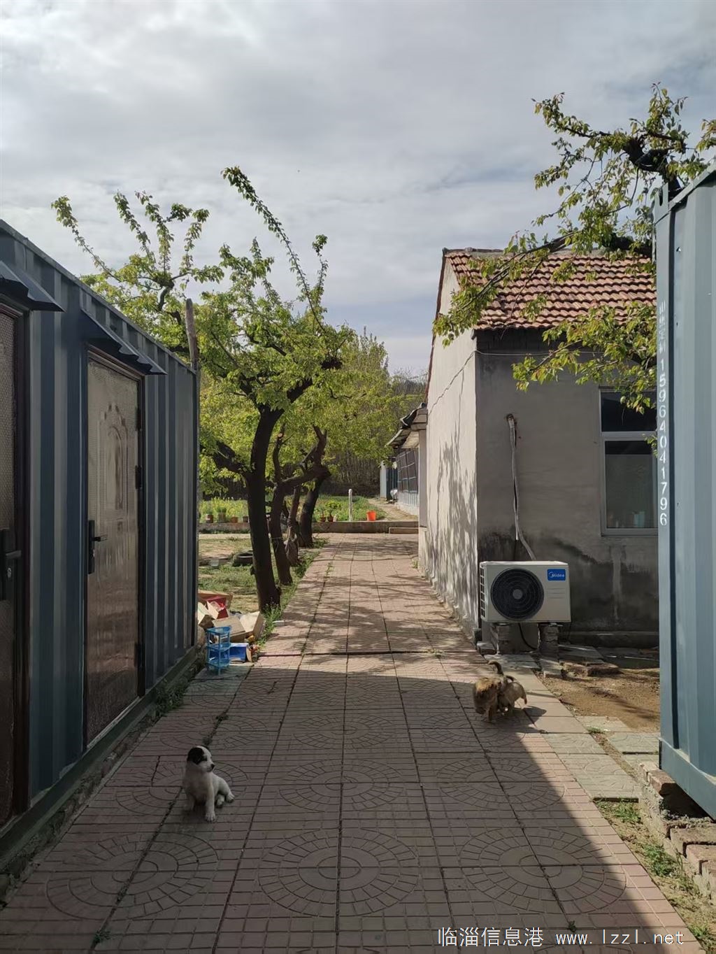 临淄齐陵郑家沟小院出租